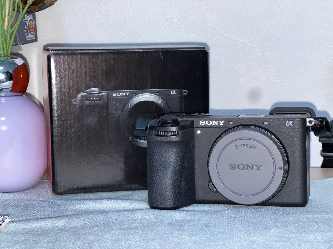 Sony Digital Slrs 6700