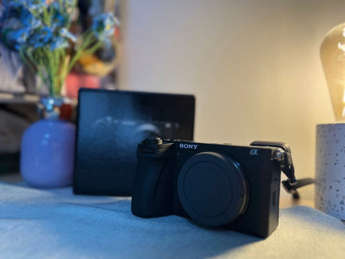 Sony Digital Slrs 6700