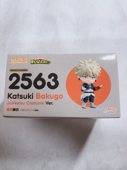 My Hero Academia 2563