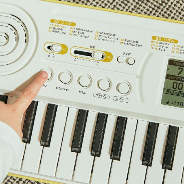 Analog Synthesizer Casio Sa-80 Ac Casiotone 44 Sa76