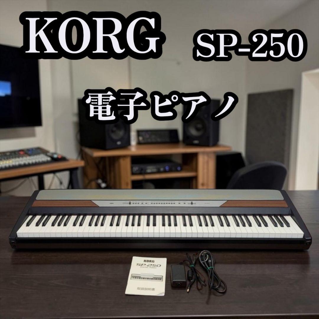 Korg Keyboards Digital Pianos Sp-250
