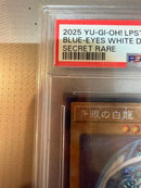 Yu-Gi-Oh! Ocg Duel Monsters (Japanese) Psa10 Lpst-Jp003