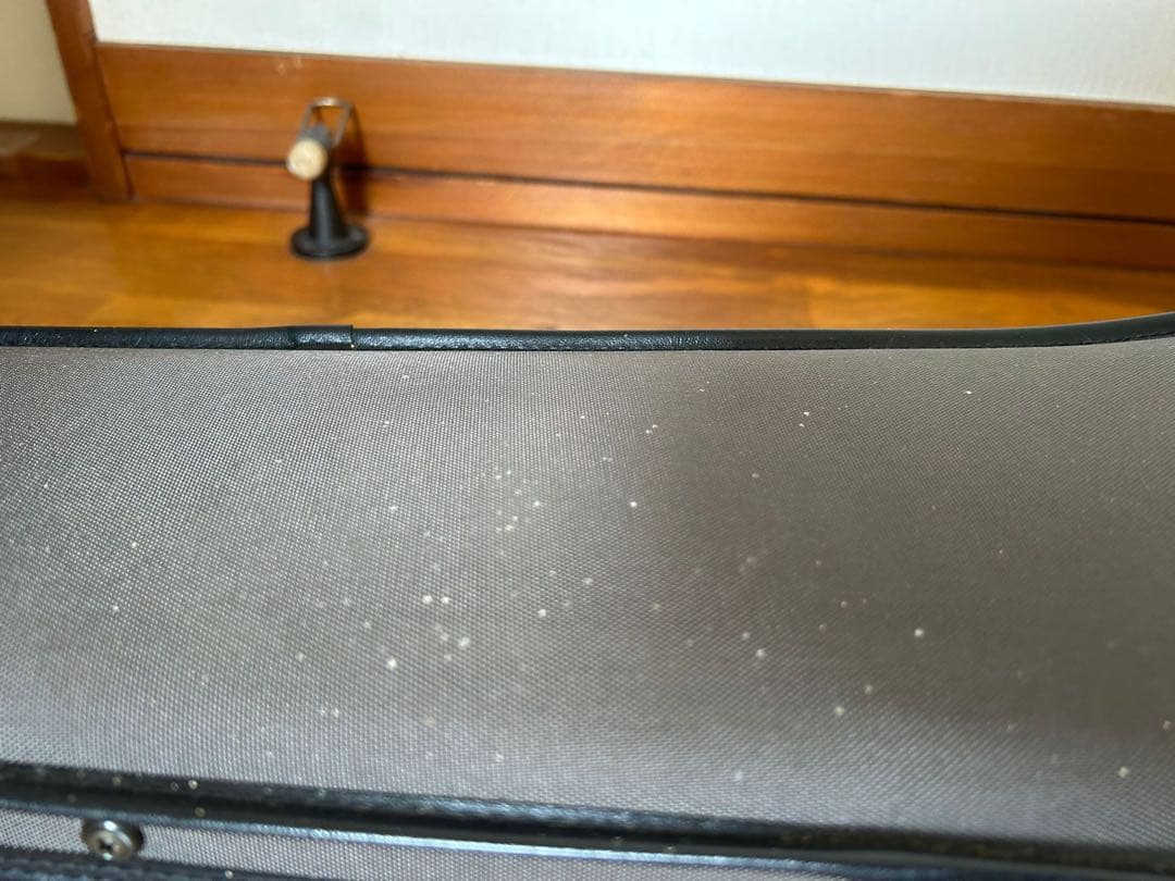 Yamaha Violin Body Sv-100