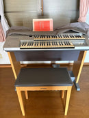Yamaha Keyboards Digital Pianos Stagea Elb-01
