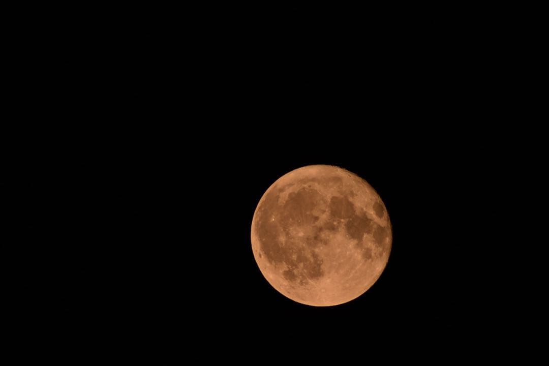 Lens (Zoom) Nikon Z 420-800Mmmf