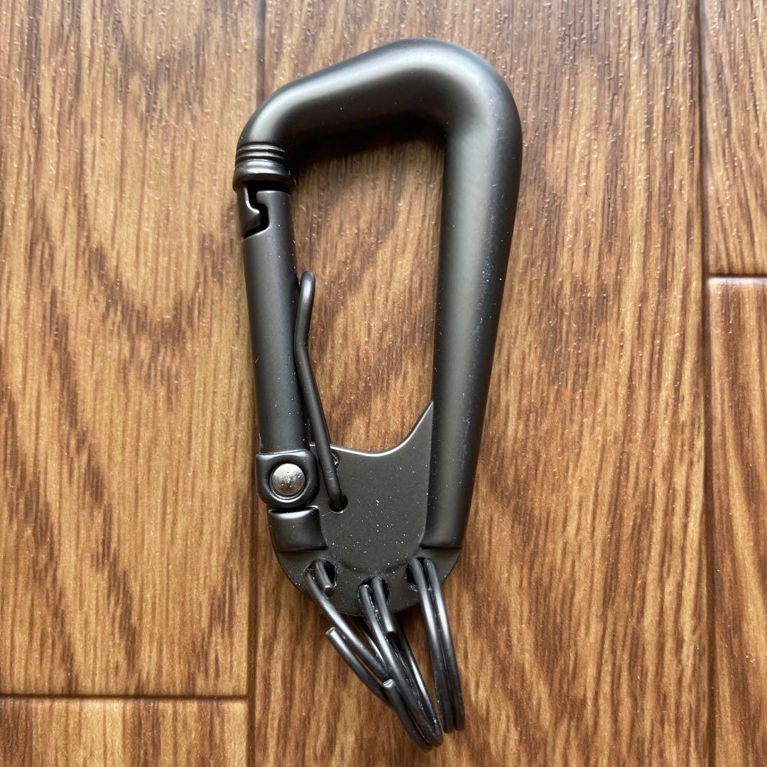 Neighborhood Carabiners