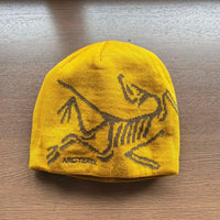 Arc'Teryx Knitted Caps Beanies