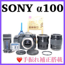 Sony Digital Slr 100