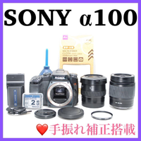 Sony Digital Slr 100