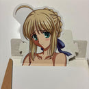 Illustration Collections Fate/Stay Night