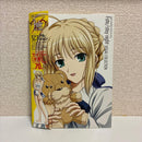 Illustration Collections Fate/Stay Night