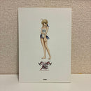 Illustration Collections Fate/Stay Night
