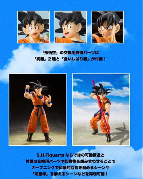 S.H.Figuarts Dragon Ball Z S.H.