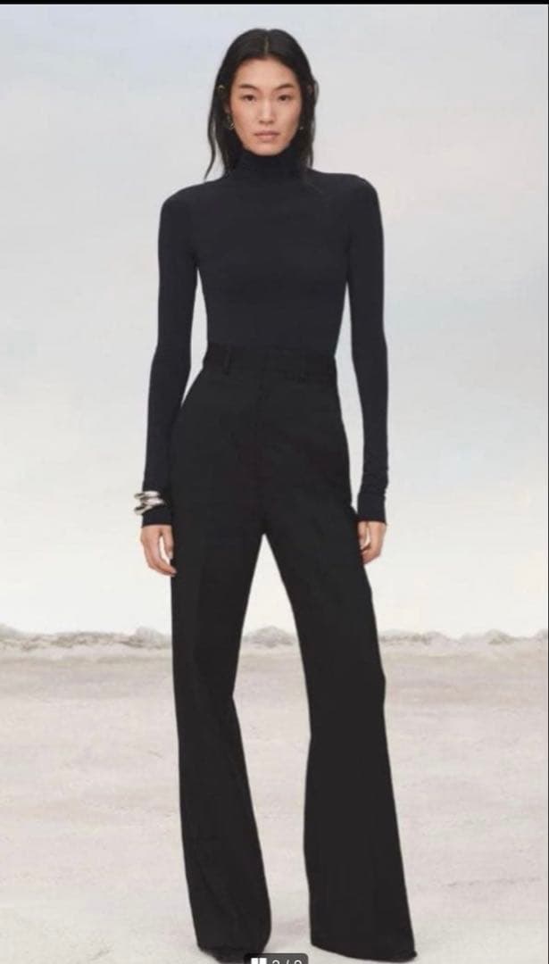 Zara Slacks Edition Xs