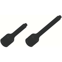 Others 2 T 9.52Xt30X100L (S3T30X100 5172)