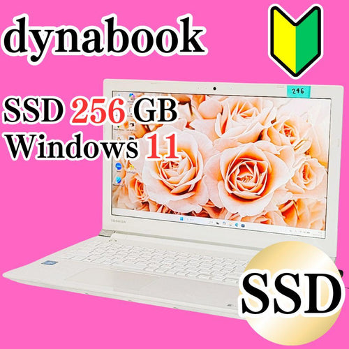 Dynabook Windows Laptops Ssd256Gb Dvd