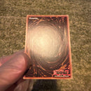 Yu-Gi-Oh! Ocg Duel Monsters (Foreign Languages) Eu