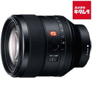 Others Fe F1.4 Gm [Sel85F14Gm]