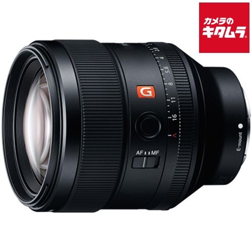 Others Fe F1.4 Gm [Sel85F14Gm]
