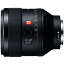 Others Fe F1.4 Gm [Sel85F14Gm]