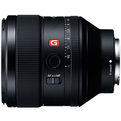 Others Fe F1.4 Gm [Sel85F14Gm]