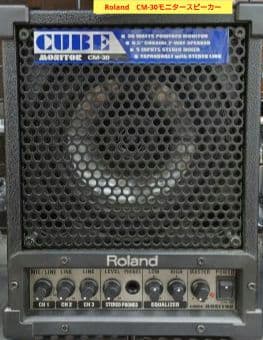 Roland Studio Monitor Speaker Cube Cm-30