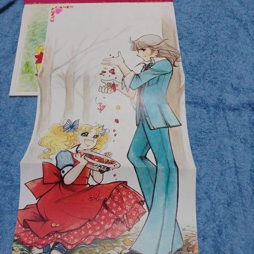 Illustration Collections