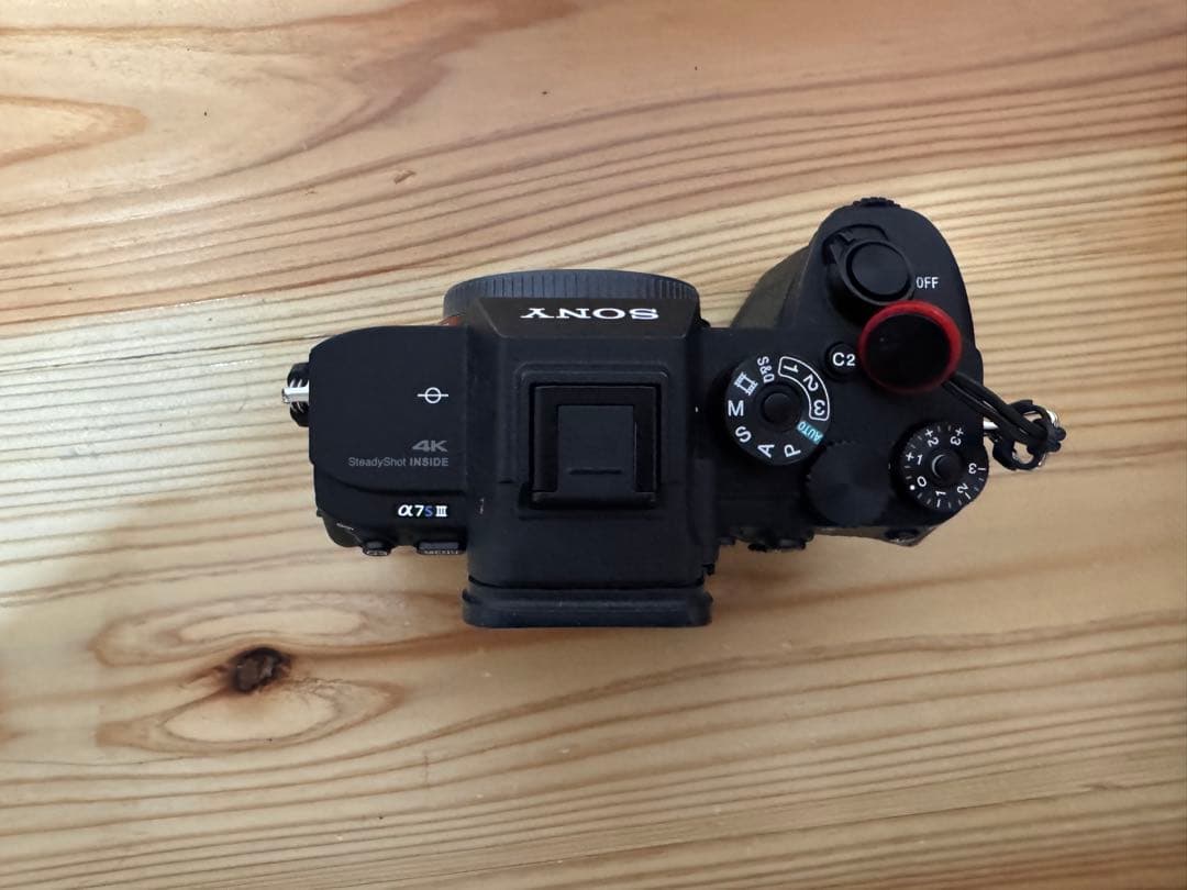 Sony Mirrorless Interchangeable Lips 7S Iii