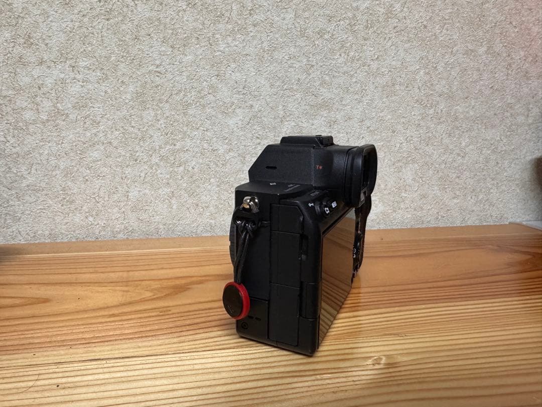 Sony Mirrorless Interchangeable Lips 7S Iii