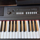 Yamaha Keyboards Digital Pianos Np-V80 Piaggero