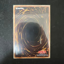 Yu-Gi-Oh! Ocg Duel Monsters (Japanese) 20Th