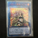 Yu-Gi-Oh! Ocg Duel Monsters (Japanese) 20Th