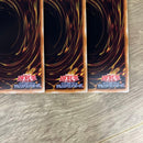 Yu-Gi-Oh! Ocg Duel Monsters (Japanese)