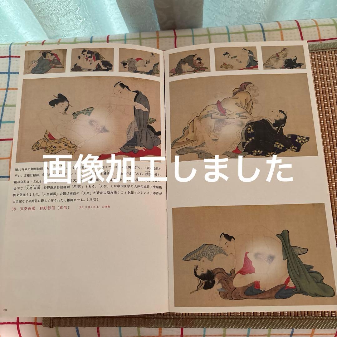 Art, Design Music Shunga