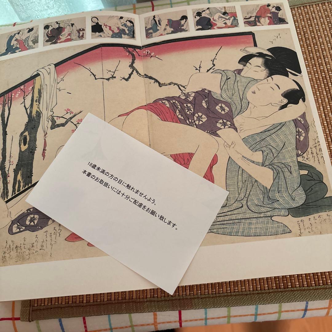 Art, Design Music Shunga
