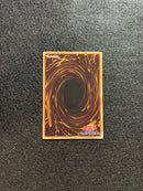 Yu-Gi-Oh! Ocg Duel Monsters (Japanese) Ptdn-Jp003 Ul