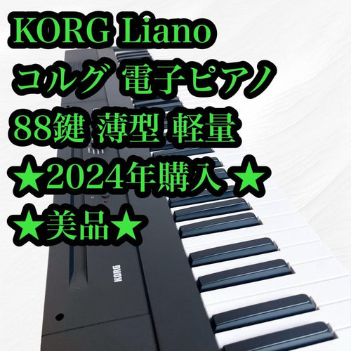 Korg Keyboards Digital Pianos Liano 88 24