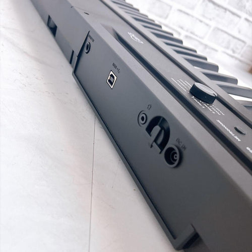 Korg Keyboards Digital Pianos Liano 88 24