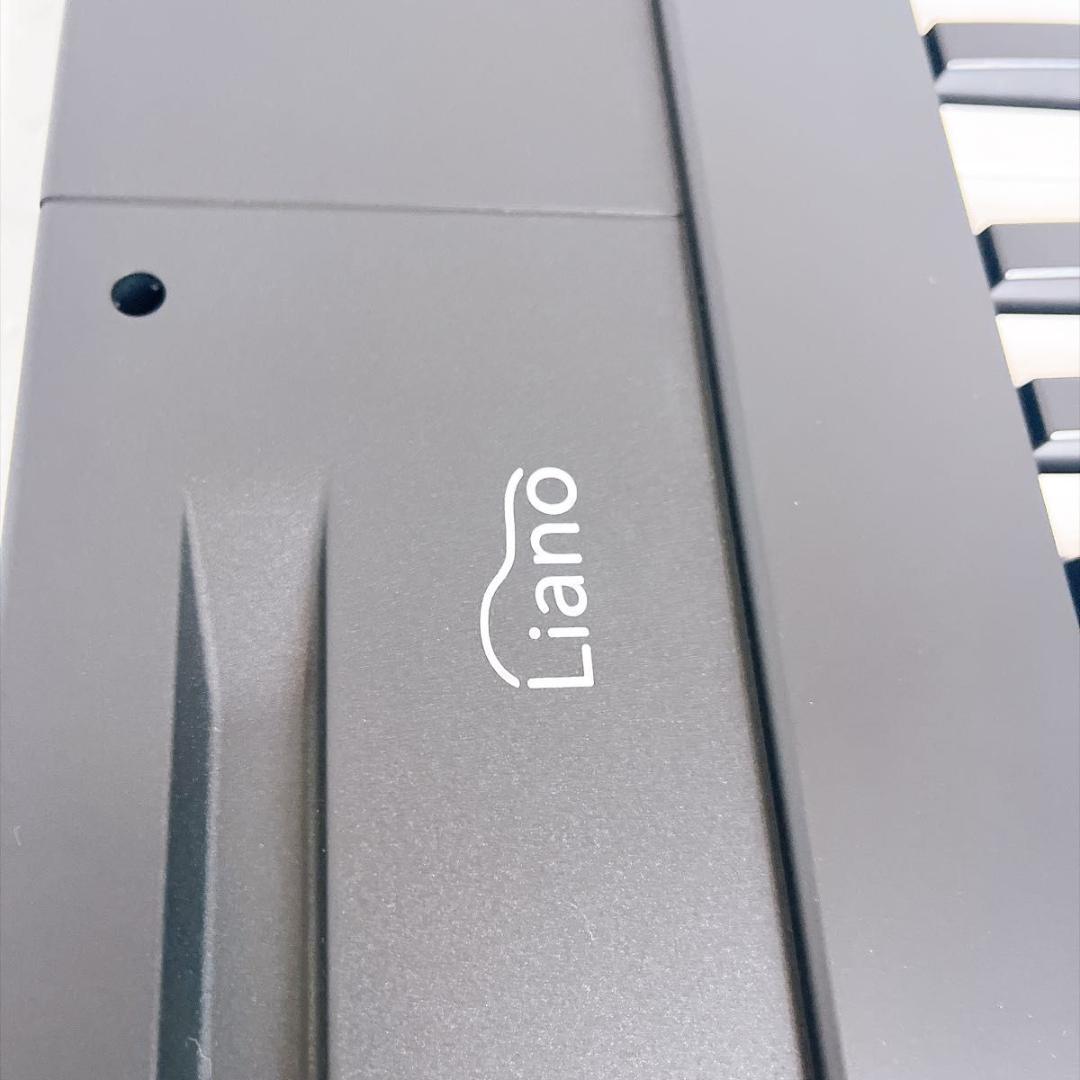 Korg Keyboards Digital Pianos Liano 88 24