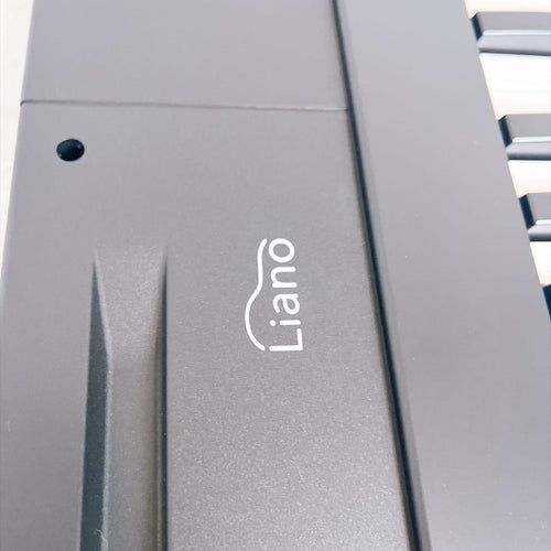 Korg Keyboards Digital Pianos Liano 88 24