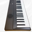 Korg Keyboards Digital Pianos Liano 88 24