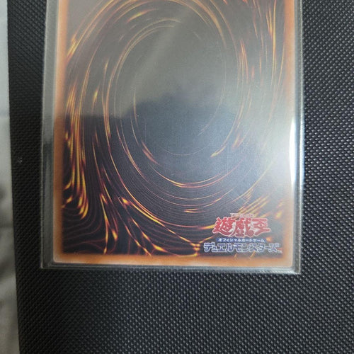 Yu-Gi-Oh! Ocg Duel Monsters (Japanese) Lv8 25Th