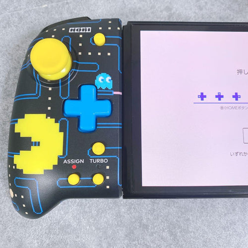 Hori Controller