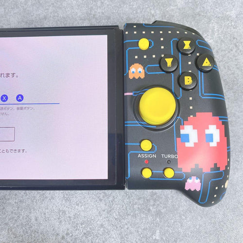 Hori Controller