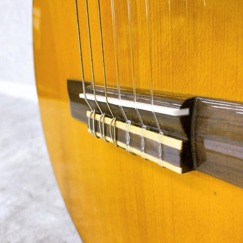 Yamaha Classical Guitars Cg101A
