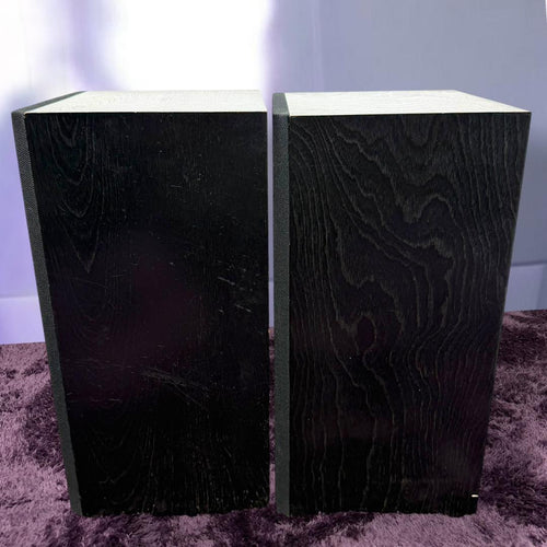 Yamaha Speakers Ns-100M