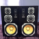 Yamaha Speakers Ns-100M
