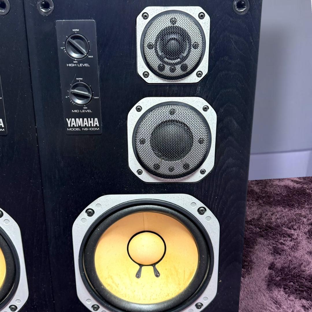 Yamaha Speakers Ns-100M