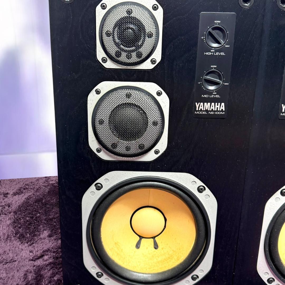 Yamaha Speakers Ns-100M