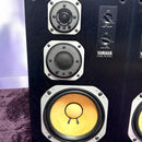 Yamaha Speakers Ns-100M